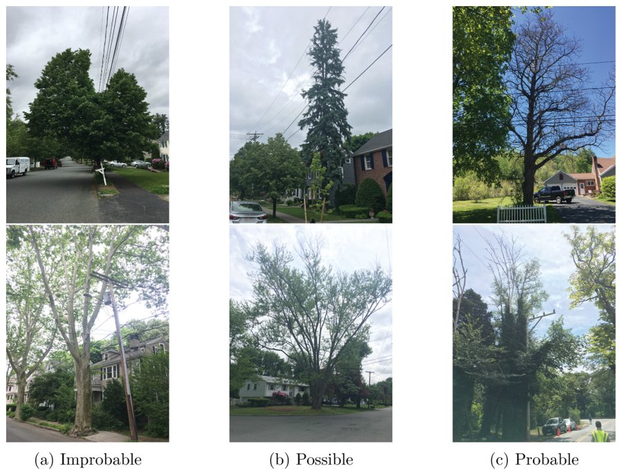 Figure from Predicting tree failure likelihood for utility risk mitigation via a convolutional neural network